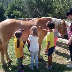 La Fattoria Al Crocefisso Pieve Fosciana